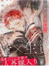 间谍过家家 日韩动漫免费观看